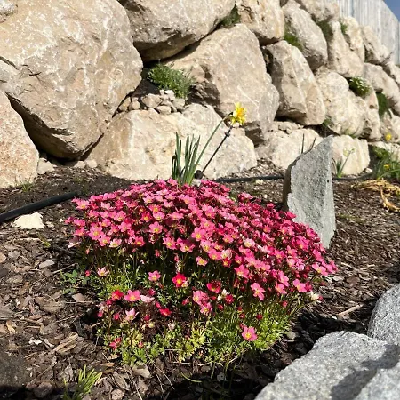 Apartment Kalss Nahe Altaussee Bad Aussee