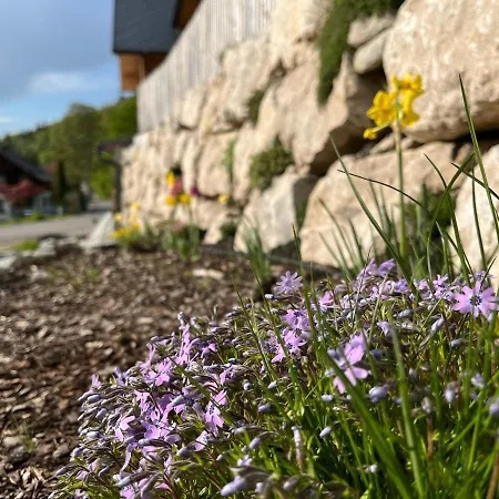 Kalss Nahe Altaussee Apartment