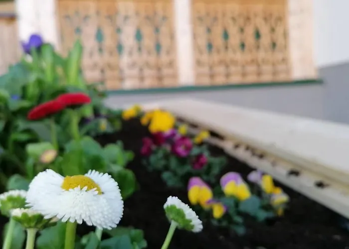 Kalss Nahe Altaussee 아파트 