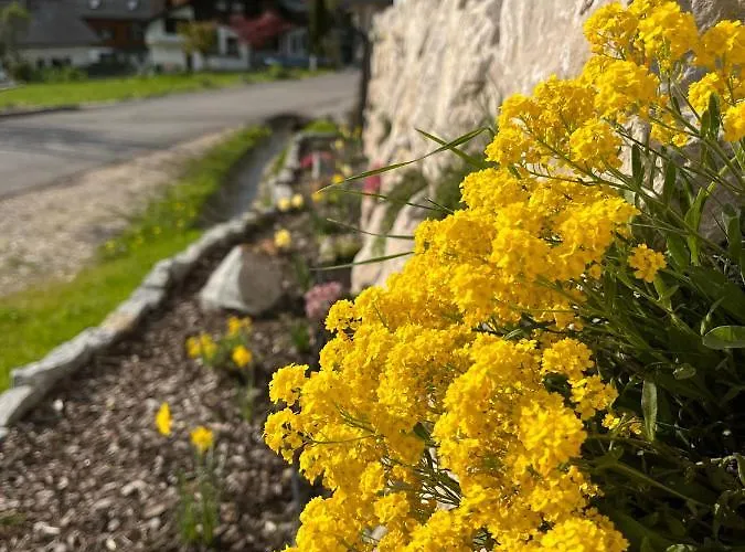 아파트 Kalss Nahe Altaussee *